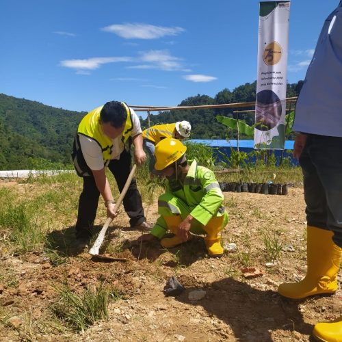 CSR LINGKUNGAN DAN KEHUTANAN